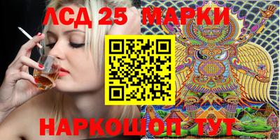 СК Гатчина