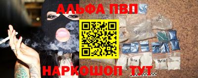 СК Гатчина