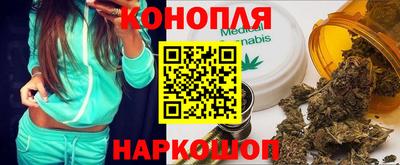гидра Гай