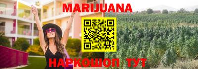 гидра Гай