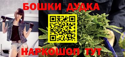 гидра Гай