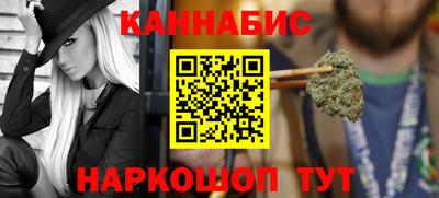 СК Гатчина