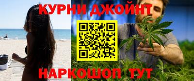 СК Гатчина