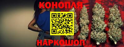 СК Гатчина