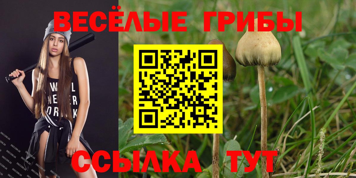 Галлюциногенные грибы GOLDEN TEACHER  закладка  Рузаевка  Вход с VPN  Галлюциногенные грибы Magic Shrooms 