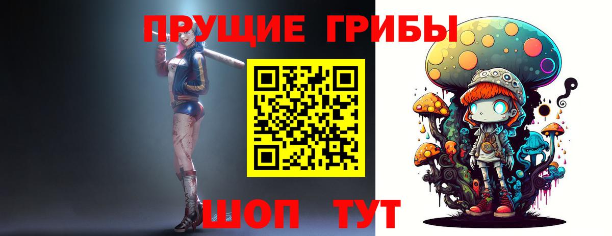 Псилоцибиновые грибы Cubensis Рузаевка